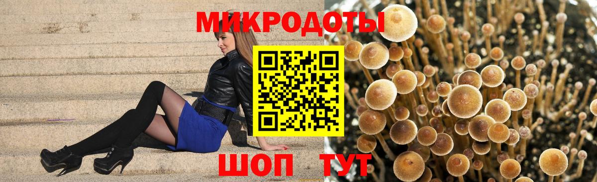 Псилоцибиновые грибы мицелий Егорьевск
